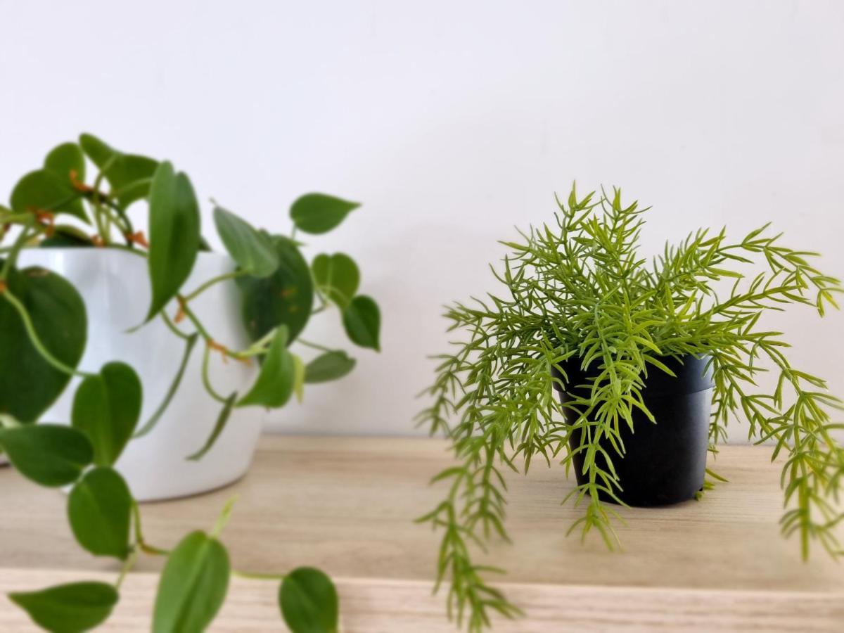 קסטב Apartment Ml Opatija מראה חיצוני תמונה